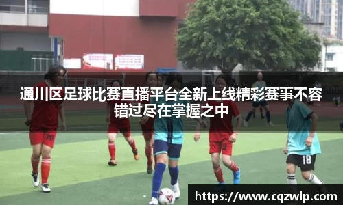 谈球吧在线