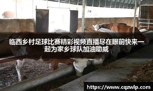 谈球吧