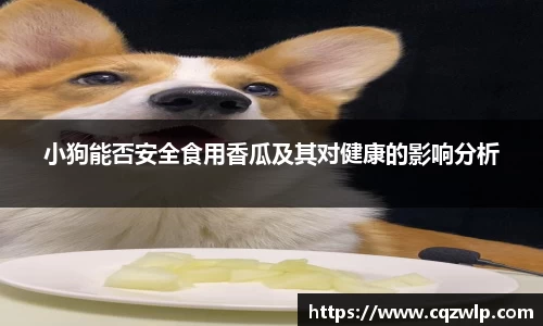 谈球吧官网